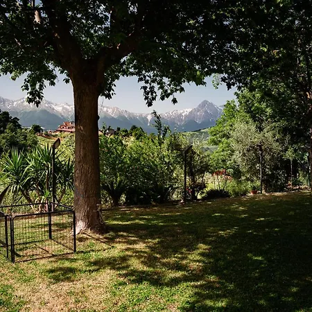 Il Girasole 3* Basciano