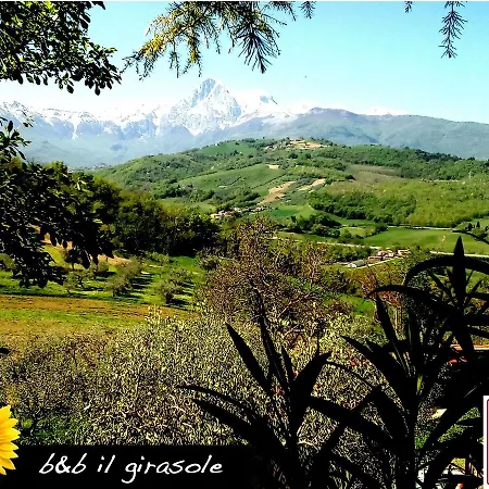 Il Girasole ベッド・アンド・ブレックファスト Basciano
